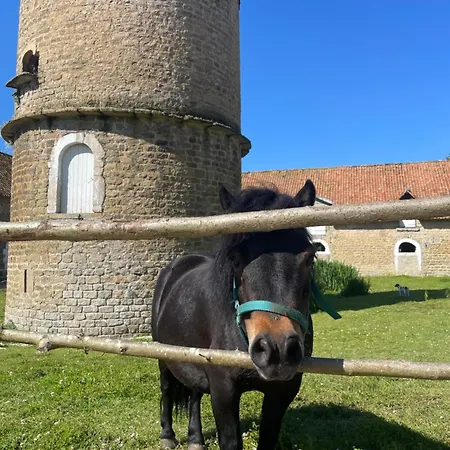 Domaine Du Saaj Cote Opale 8 Personnes *